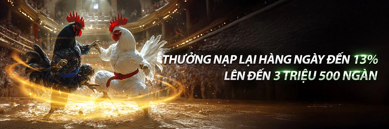 Đá Gà Trực Tuyến qc6672